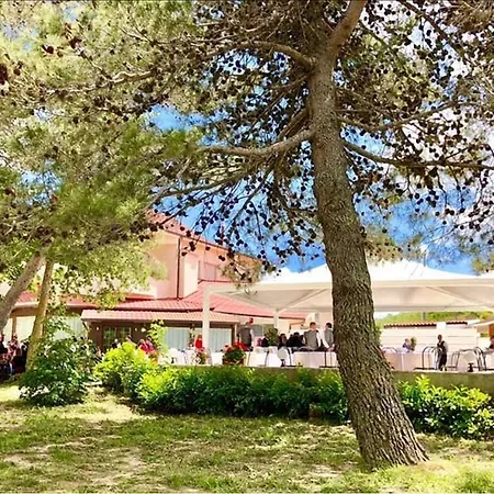 Antico Cerasella